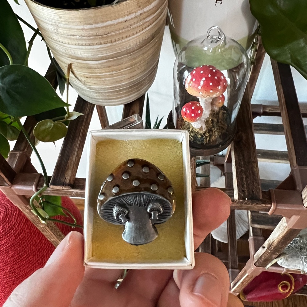 Mushroom enameled jewelry set - pin, earrings, and necklace all in one!